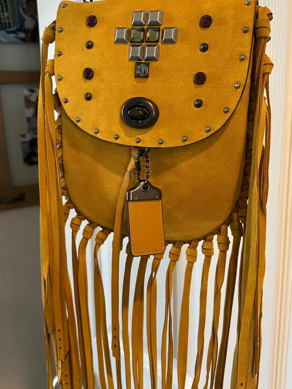 Coach Suede Pyramid Rivet Crossbody Bag